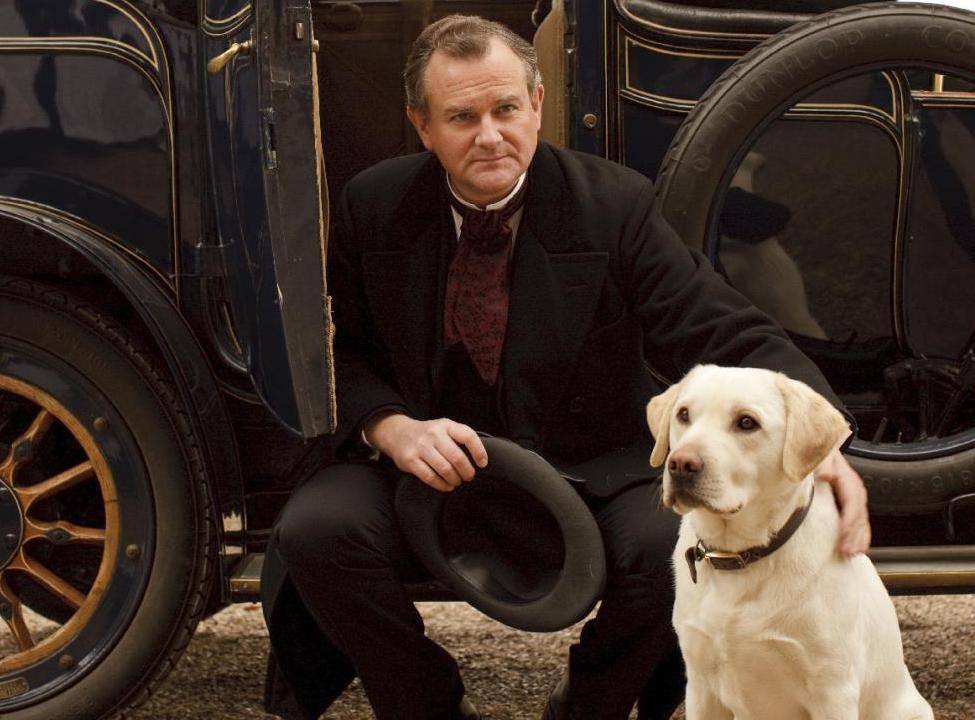 20 Little Known Facts About The Most Popular Dog Breed In The US_9