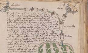 Has Yale's mysterious Voynich Manuscript finally been deciphered?